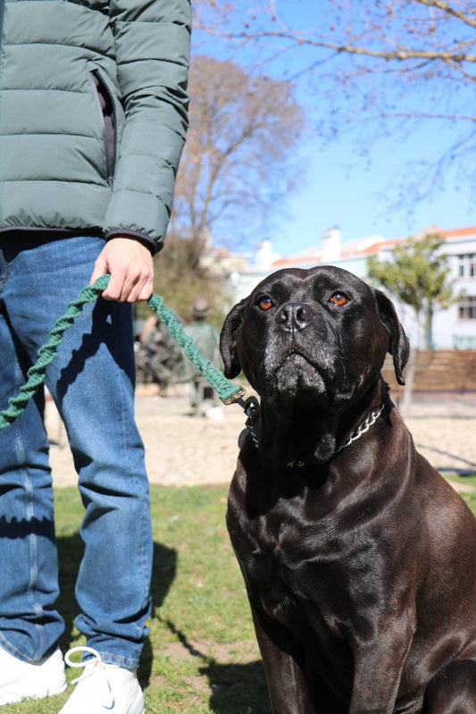 Trela verde "Pantufa"