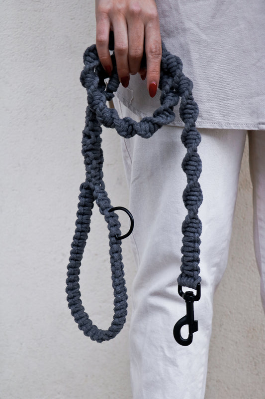 Trela cinzenta "Crespim"